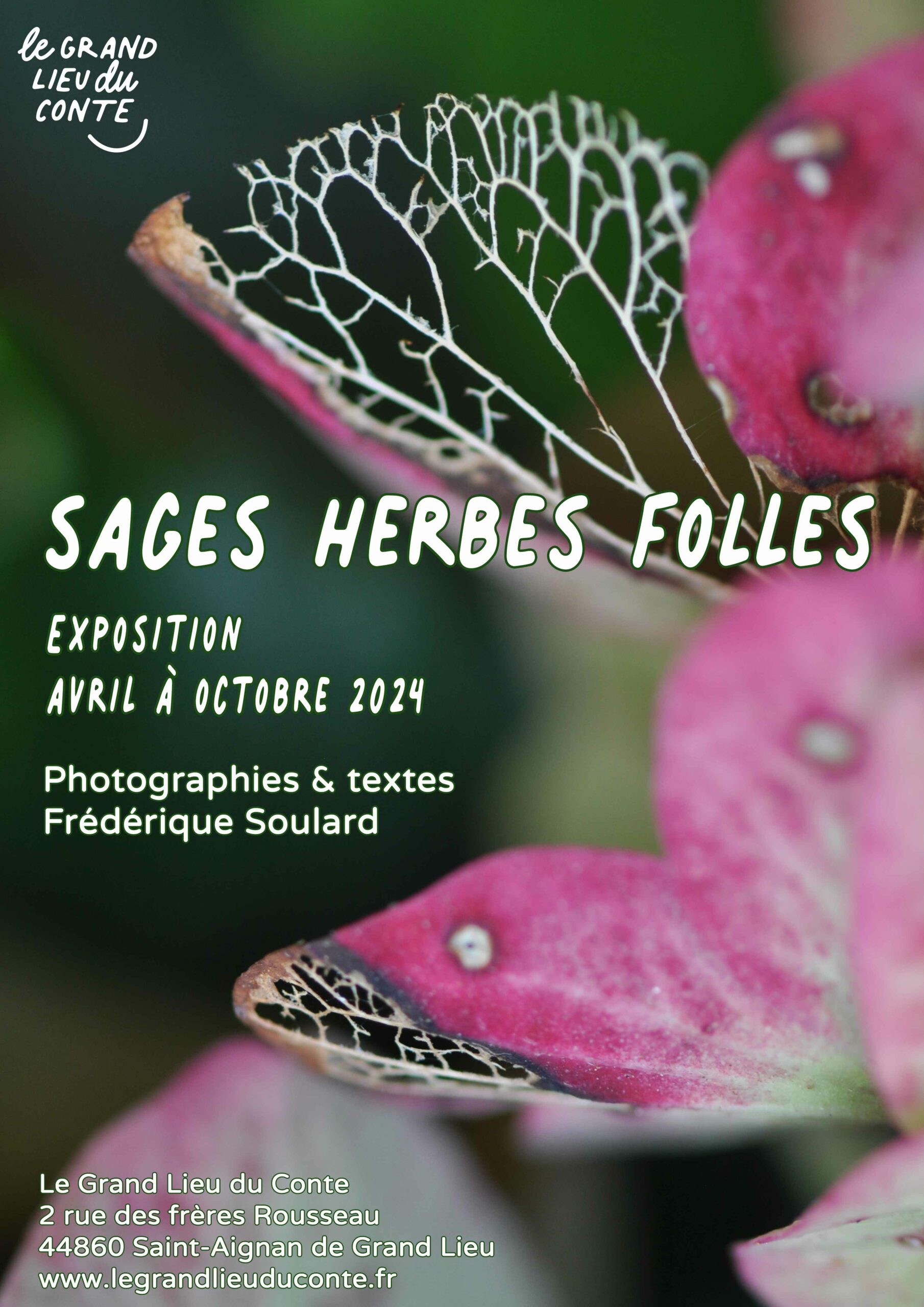exposition de photographies Sages Herbes Folles