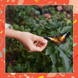 printemps des poètes au grand lieu du conte