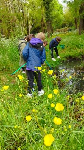 Aire Terrestre educative