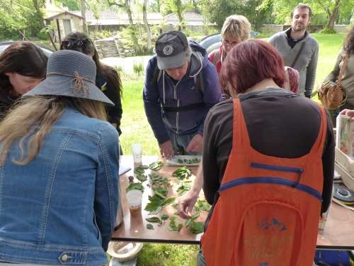 Stage Ouverture Nature Fabrication de cosmétiques