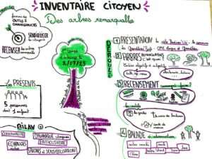 Inventaire citoyen des arbres remarquables avec l'association les GRANDLIEU'ZARTS