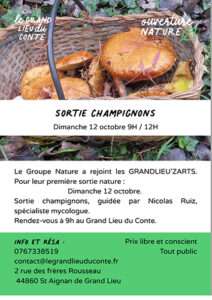 sortie champignons saint aignan de grand lieu